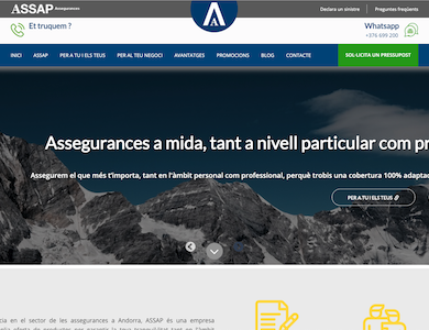 Compañía aseguradora de Andorra con más de 40 años de experiencia : Consultoría, diseño de páginas web, desarrollo i programación Web , hosting y mantenimiento.