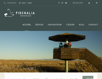 Pirenalia consultoria y desarrollo página Web.