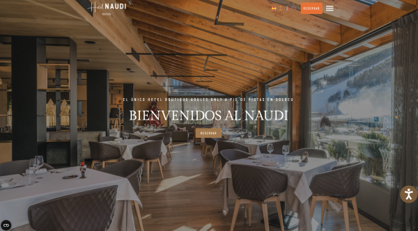 Proyecto - Hotel Naudi