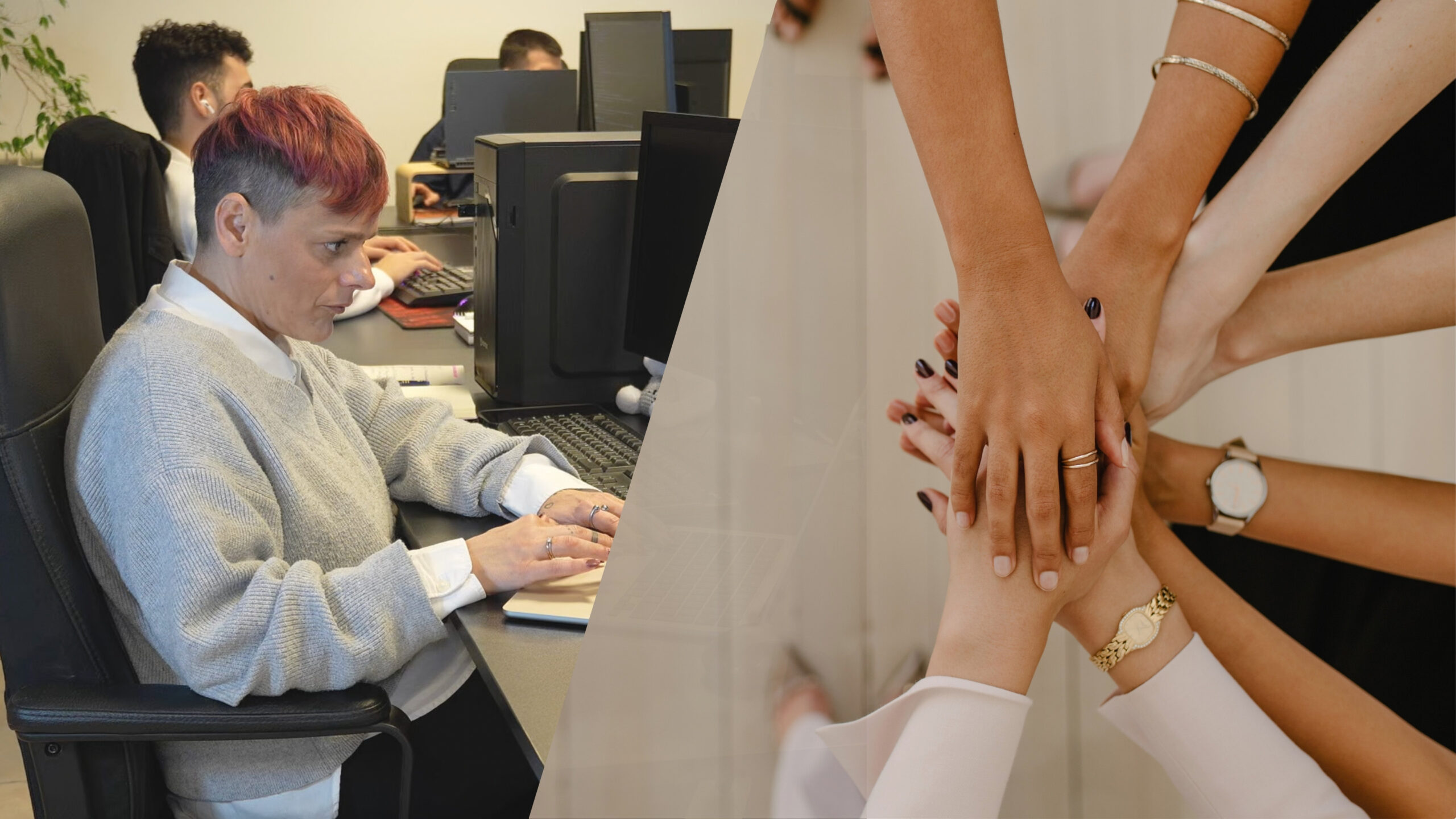 Recursos humanos - formación de los empleados